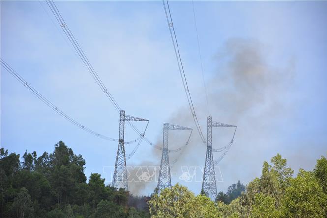 Cháy rừng đe dọa hệ thống truyền tải điện quốc gia như thế nào?